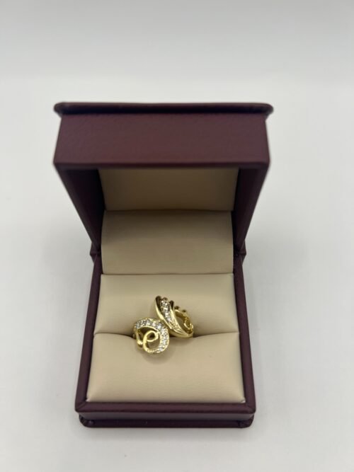 Anillo 1