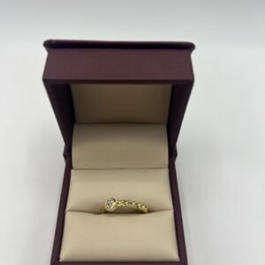 Anillo 1