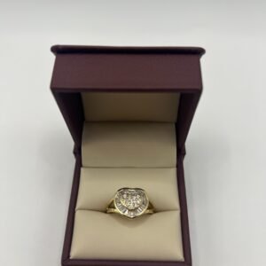 Anillo 1
