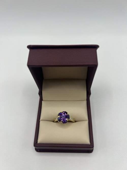 ANILLO 10