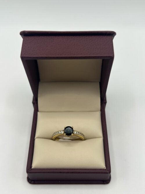 ANILLO 19