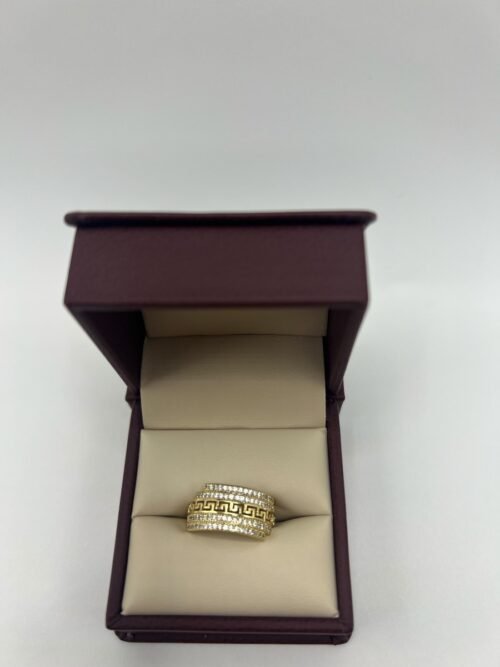 ANILLO 46