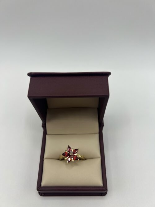 ANILLO 50