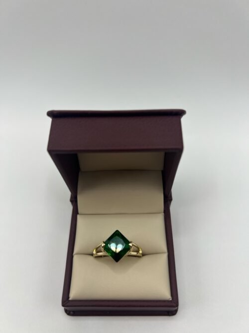 ANILLO 61