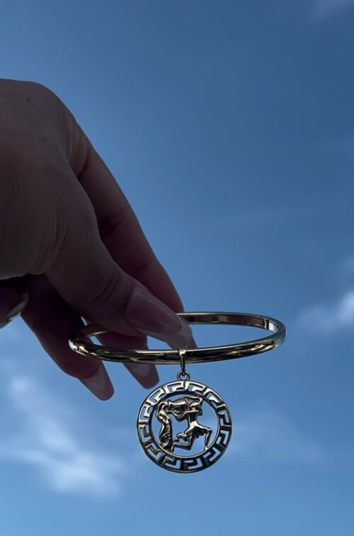 Bangle acuario